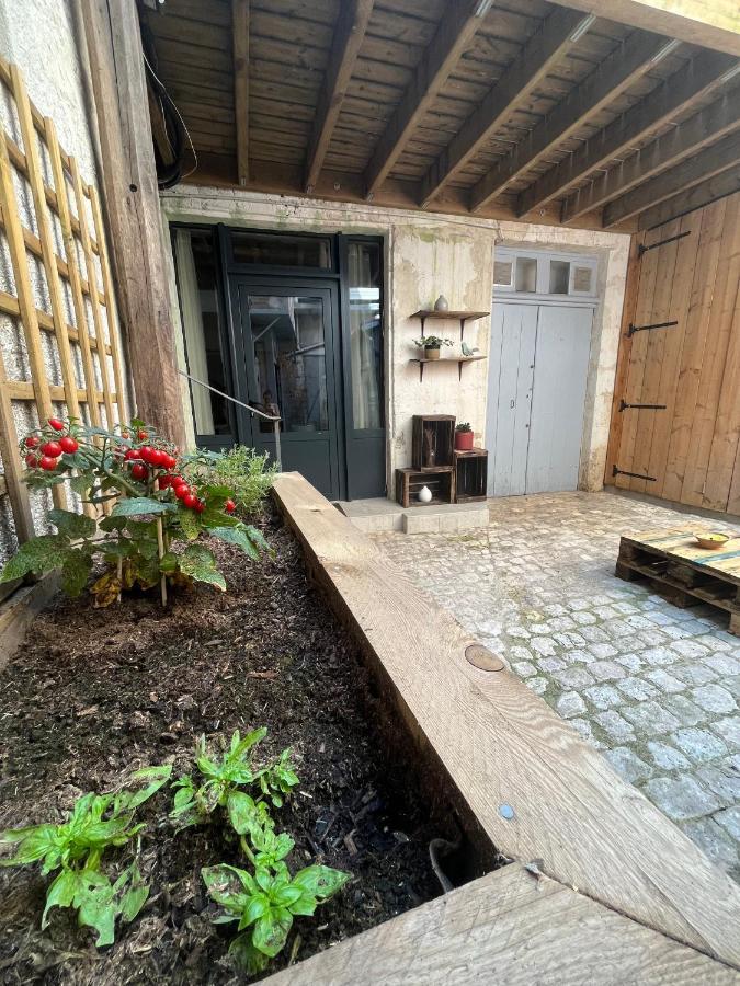 La Cour Chartraine - Cosy Appartement Avec Cour Exterieur A Блоа Екстериор снимка